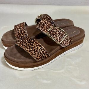 Volatile Leopard Print Sandals with Gold Buckle